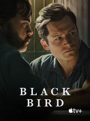 Black Bird Poster